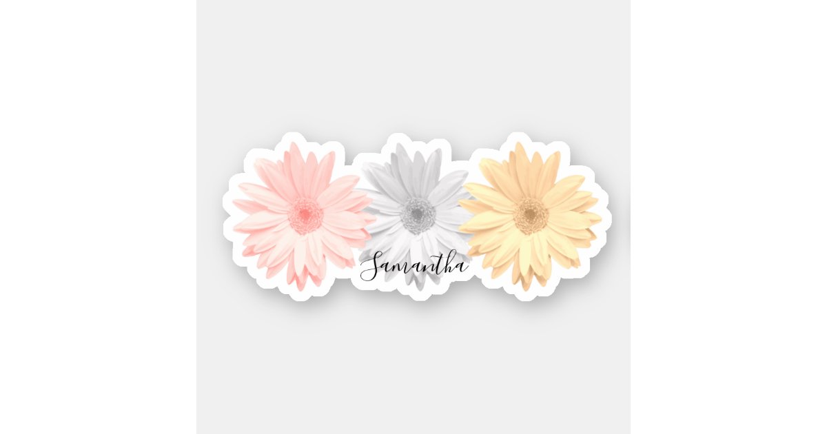 Pink Daisy Aesthetic Sticker