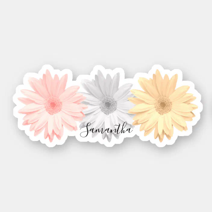 Personalized Daisy Flowers Name removable vinyl wall decal 