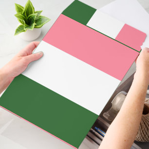 Pink, Green and White Stripes Envelope Mailers