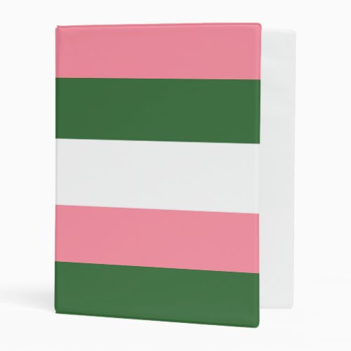 Pink Green and White Stripes Mini Binder