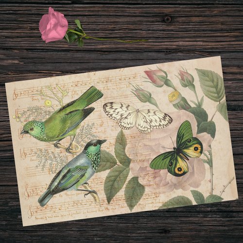 Pink Green Musical Bird Butterfly Rose Ephemera Tissue Paper