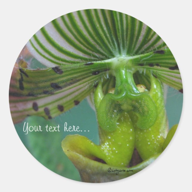 Pink Green Slipper Orchid Wedding Invitation Seals (Front)