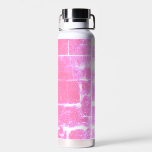 Pink Grunge Brick Stainless Steel Bottle