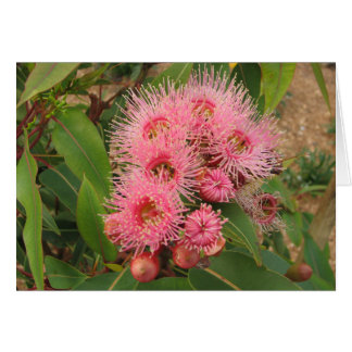 Pink gum flowers cards