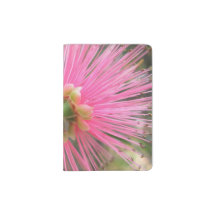 Pink Gum Tree Flower
