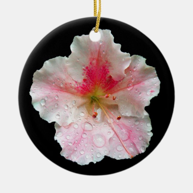 'Pink Gumpo Azalea' Ceramic Ornament (Front)