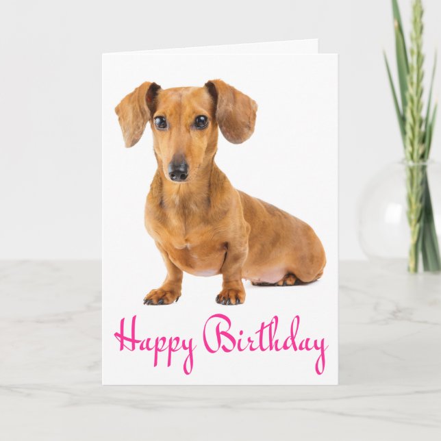 Pink Happy Birthday Dachshund Puppy Dog Card (Front)