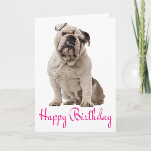 Pink Happy Birthday English Bulldog Puppy Dog Card