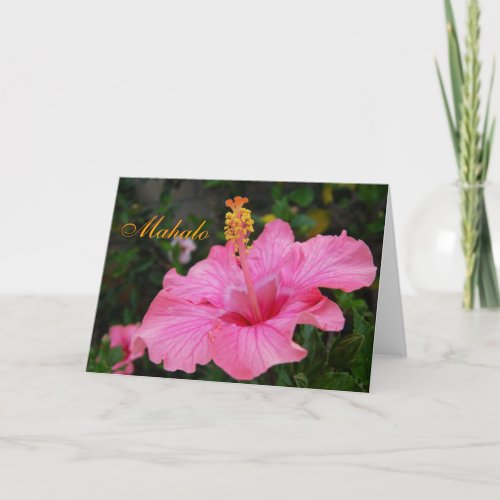 Pink Hawaii Hibiscus card