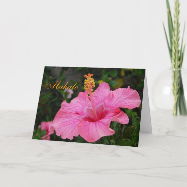 Pink Hawaii Hibiscus card (Front)
