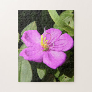 Pink Hawaiian Plumeria  Poster Faux Canvas Print A Jigsaw Puzzle