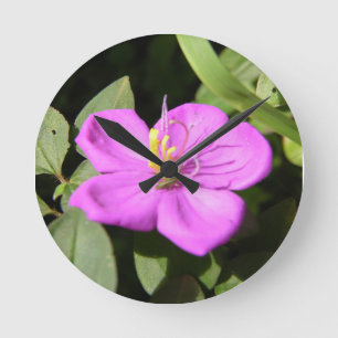 Pink Hawaiian Plumeria Poster Faux Canvas Print A Round Clock