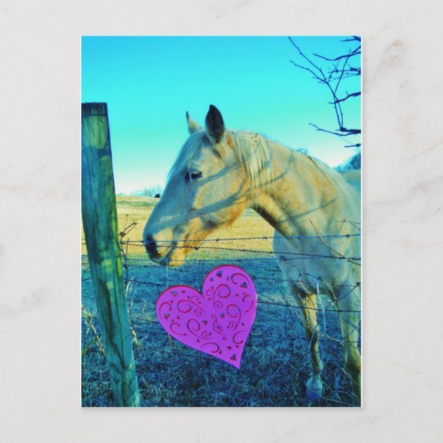 Pink Heart and Yellow Horse Postcard (Front)