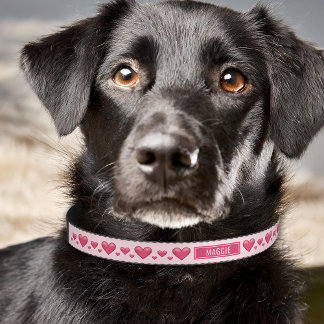 Pink Hearts And Custom Name Pet Collar