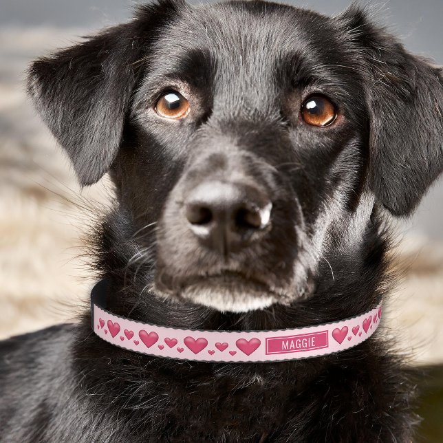 Pink Hearts Love Heart Shape Rosy Valentine's Day  Pet Collar (Please note: This image is a digital mockup. The product may not be in scale.)