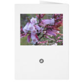 Pink heath wildflowers cards (Back)