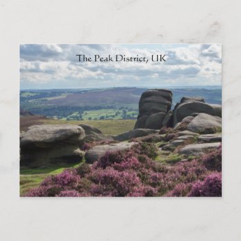 Pink Heather And Stone Postcard by KirstenStar at Zazzle