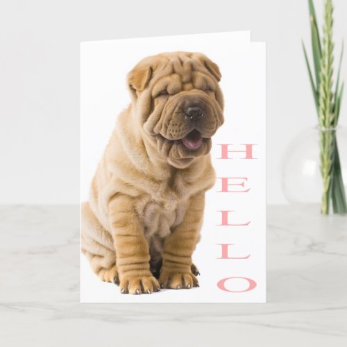 Pink Hello Shar Pei Puppy Dog Blank Card