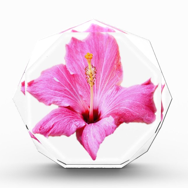 Pink Hibiscus Award (Front)