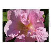 Pink Hibiscus Card 5X7 (Front Horizontal)