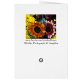 Pink Hibiscus Cards (Back)