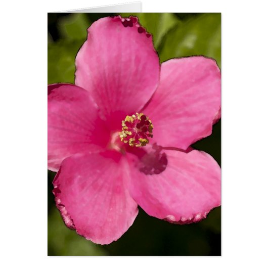 Pink Hibiscus Cards (Front)