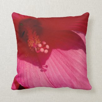 Pink Hibiscus Close-Up Photo Cushion 41 cm x 41 cm