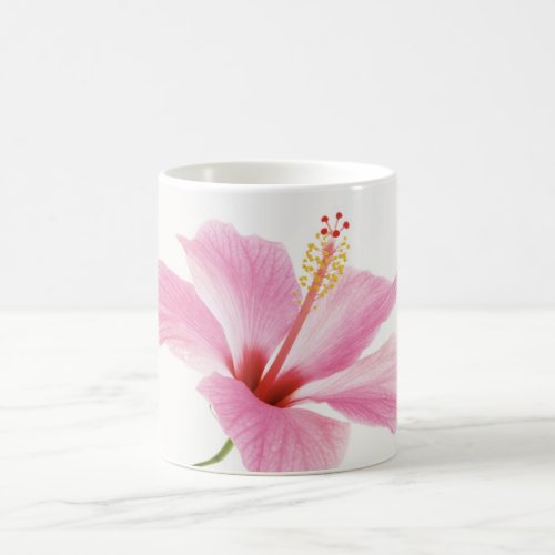 Pink hibiscus coffee  tea mug