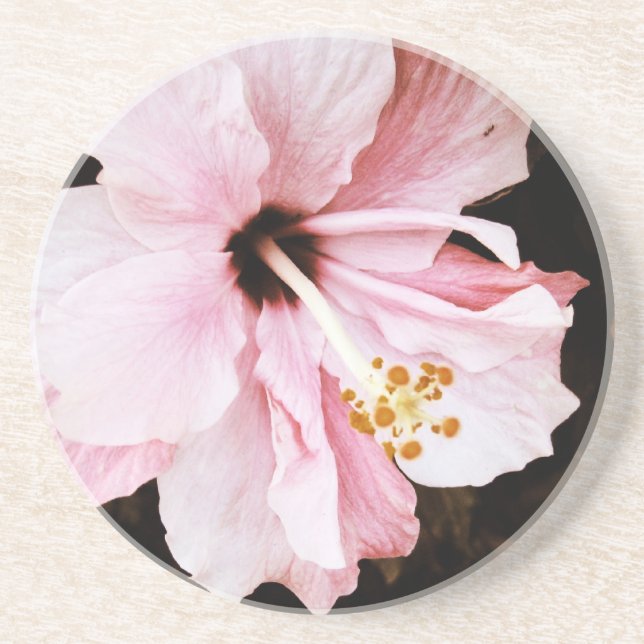 Pink Hibiscus Drink Coaster (Front)