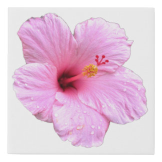 Pink Hibiscus Faux Canvas Print