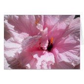 Pink Hibiscus Flower (Front Horizontal)