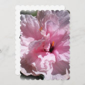 Pink Hibiscus Flower (Front/Back)