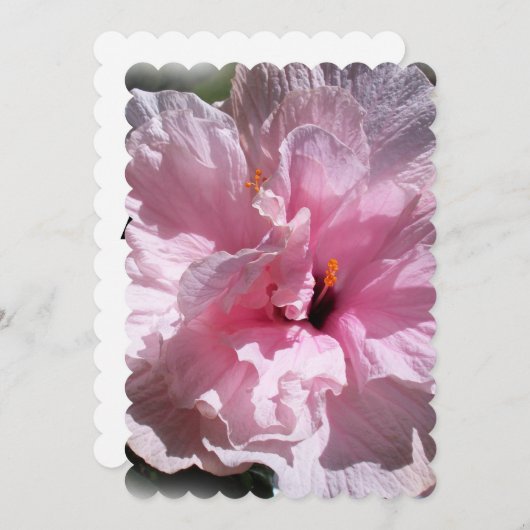 Pink Hibiscus Flower (Front/Back)