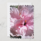 Pink Hibiscus Flower (Front)