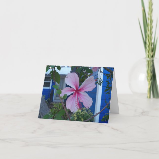 Pink hibiscus flower and blue beach cottage Card (Front)
