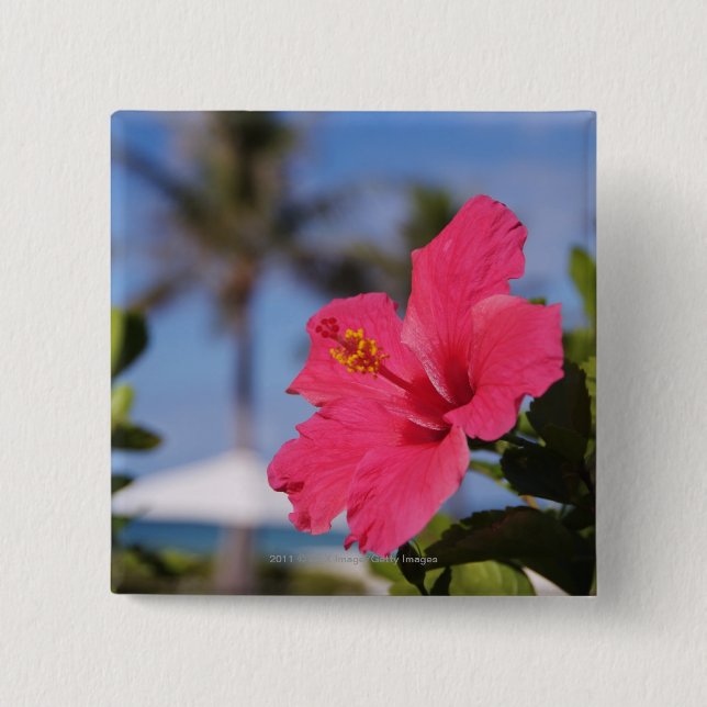 Pink hibiscus flower button (Front)