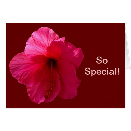 Pink Hibiscus Flower Cards (Front Horizontal)