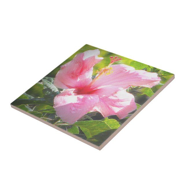 Pink Hibiscus Flower Ceramic Tile (Side)