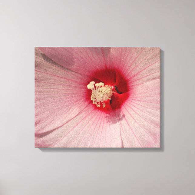 Pink Hibiscus Flower Close Up Photo  Single Print (Front)