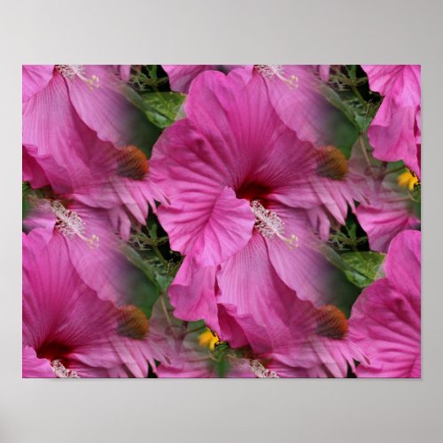 Pink Hibiscus Flower Multiplied Poster