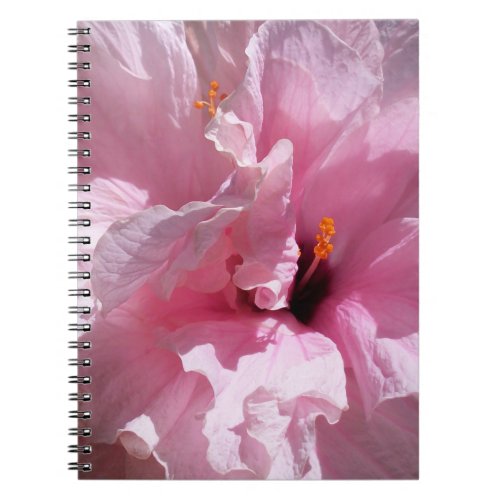 Pink Hibiscus Flower Notebook