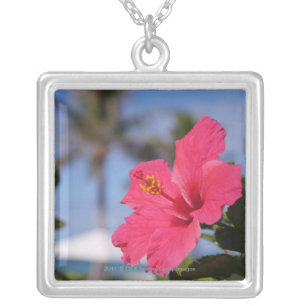 Pink hibiscus flower silver plated necklace