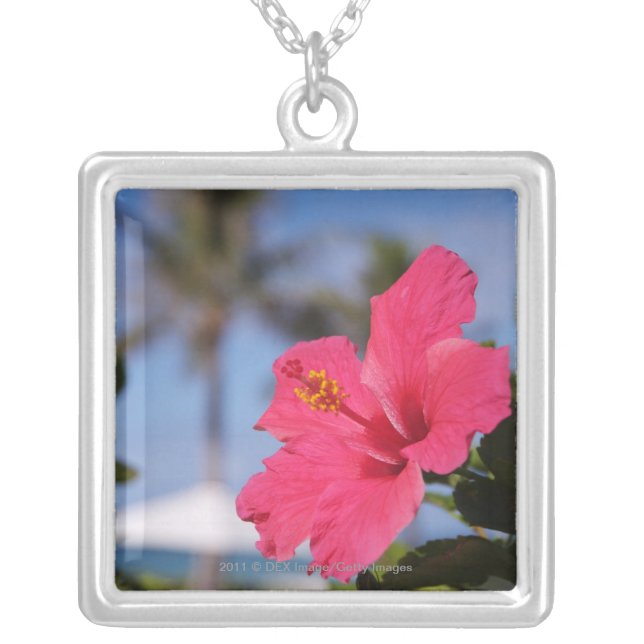 Pink hibiscus flower silver plated necklace (Front)