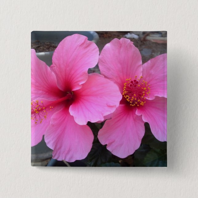 Pink Hibiscus Flowers Pinback Button (Front)