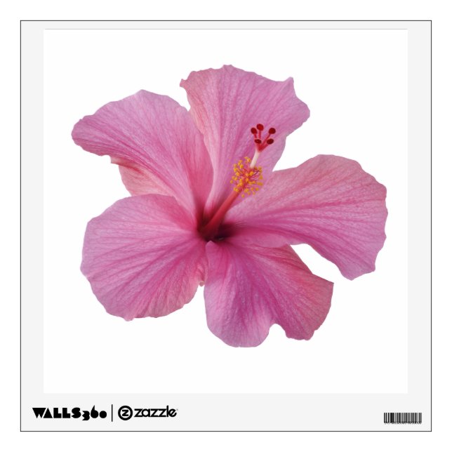 Pink Hibiscus Hawaiian Flower Customized Template Wall Decal (Front)