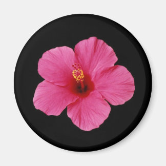 Pink Hibiscus Magnet