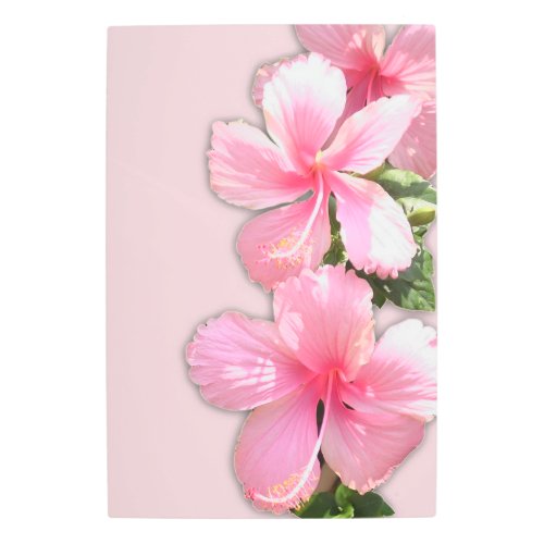 Pink Hibiscus Metal Print