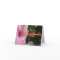 Pink Hibiscus Notecard