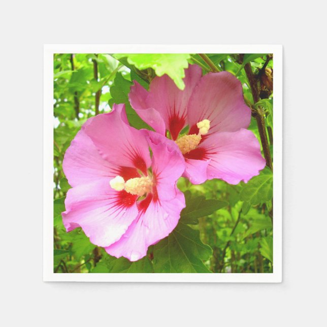Pink Hibiscus Paper Napkins (Front)