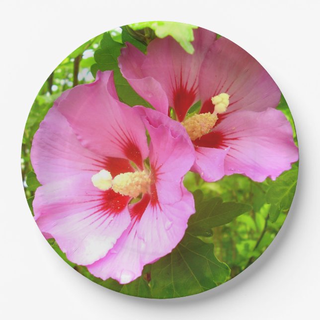 Pink Hibiscus Paper Plate (Front)